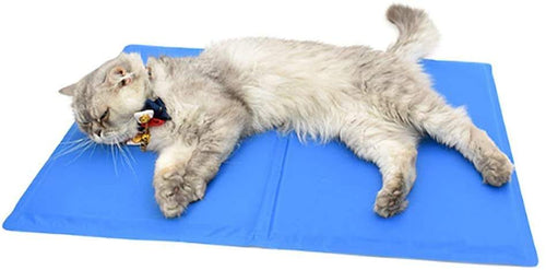 Cat lying on a blue self-cooling gel mat